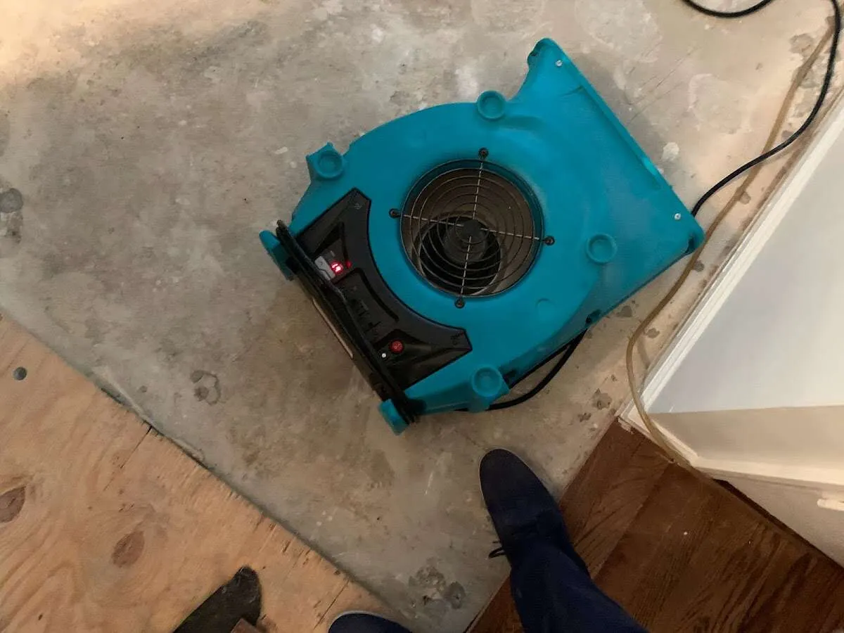 Air mover drying subfloor during Leak Detection & Repair in Jerseyville